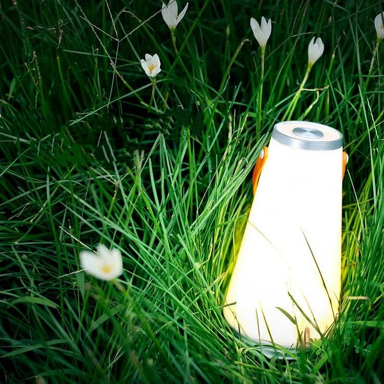 Buitenlamp Kampeerlamp — oplaadbaar, licht rondom — afbeelding 1